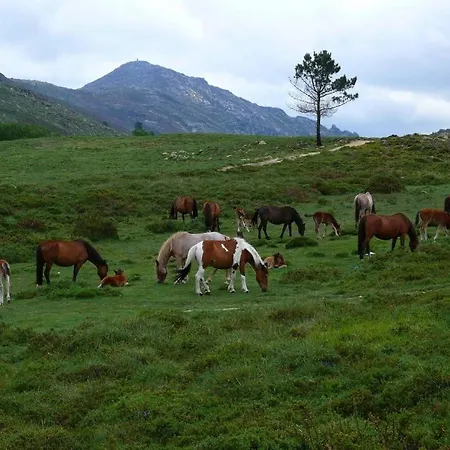 Casa Do Charco Semesterbostad