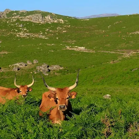 Casa Do Charco * Parada (Viana do Castelo)