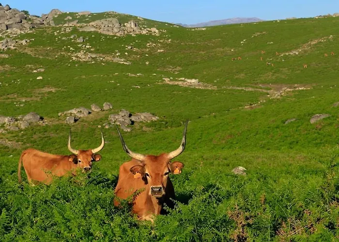 Casa Do Charco Peneda Geres * Parada (Viana do Castelo)